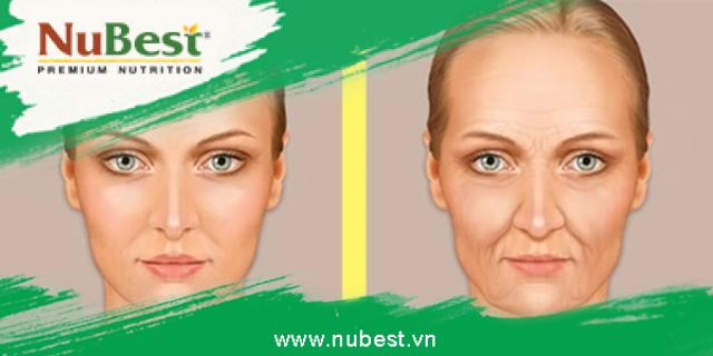 Nếp nhăn hai bên cánh mũi có thể khiến khuôn mặt của bạn trông “dừ” hơn