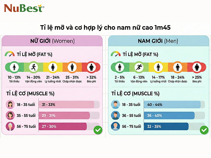 Bảng tỉ lệ mỡ và cơ cho nam nữ