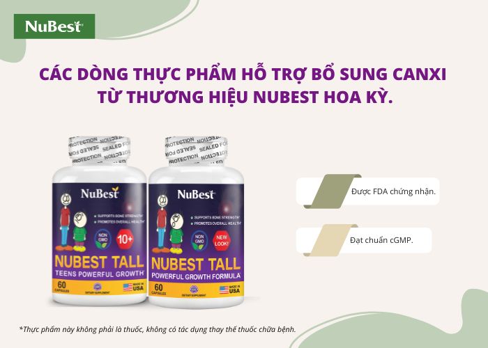 Các loại thực phẩm hỗ trợ bổ sung Canxi được chuyên gia khuyên dùng.