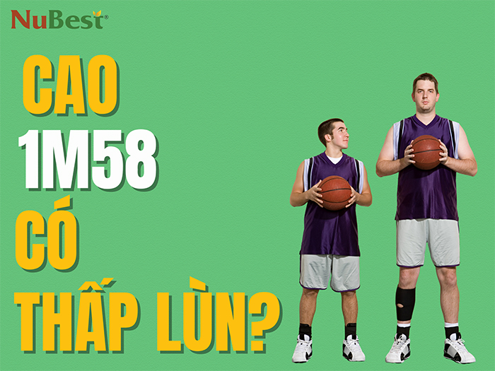 Cao 1m58 có phải là chỉ số chiều cao thấp lùn?