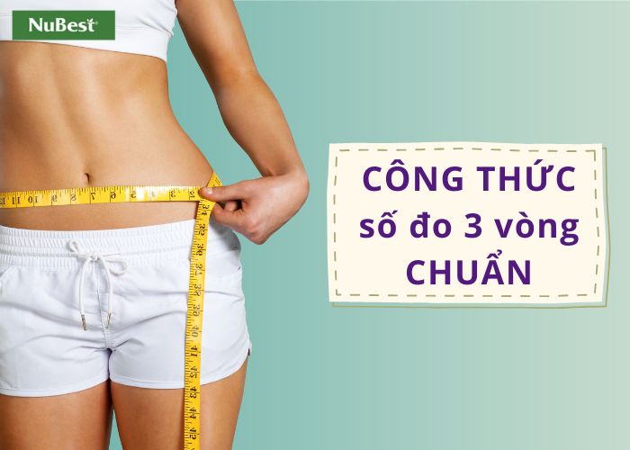 Công thức tính số đo 3 vòng chuẩn cho nam và nữ