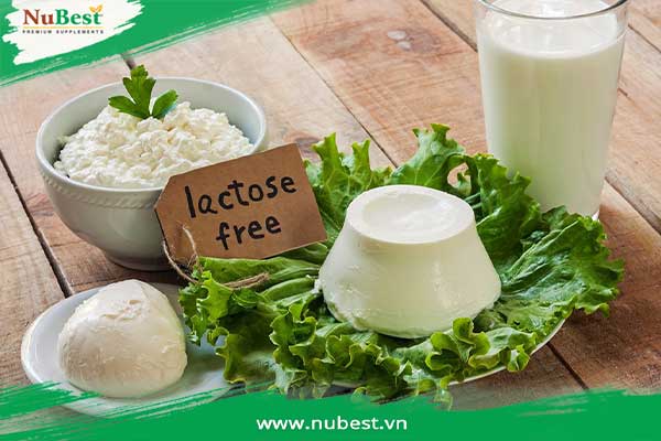 chế độ ăn không nạp lactose