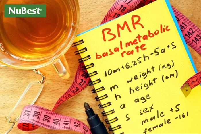 Tính BMR của mình là bao nhiêu và nạp vào lượng calo nhiều hơn BMR để tăng cân, tăng chiều cao