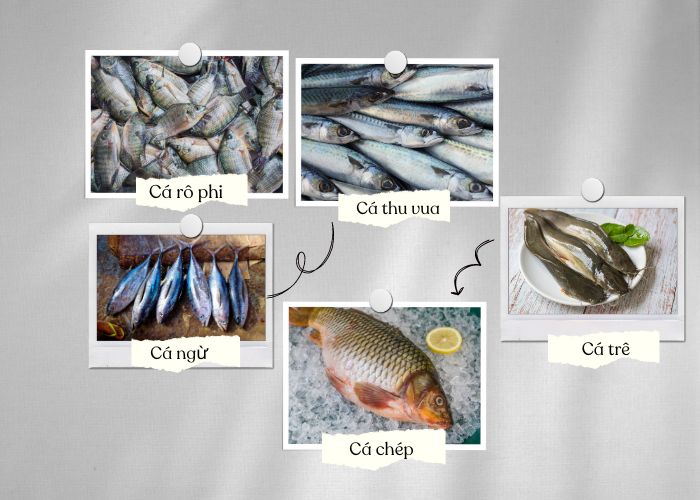 Lưu ý một vài loại cá chứa hàm lượng thuỷ ngân cao nên ít sử dụng chế biến cho trẻ