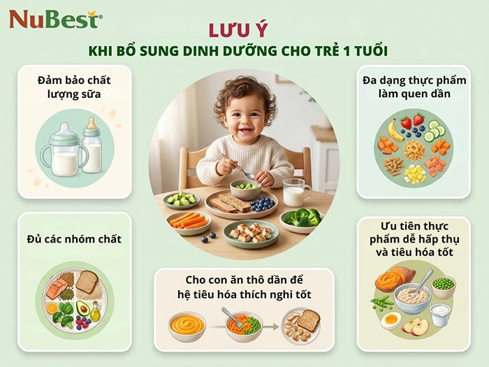 ​​​​​​​Lưu ý khi bổ sung dinh dưỡng cho trẻ 1 tuổi.