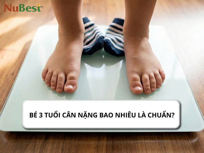 Cân nặng chuẩn của trẻ 3 tuổi là bao nhiêu?
