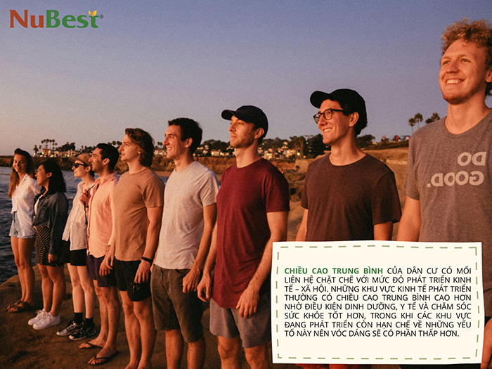 Chiều cao trung bình có sự khác biệt tùy vào khu vực do nhiều yếu tố tác động