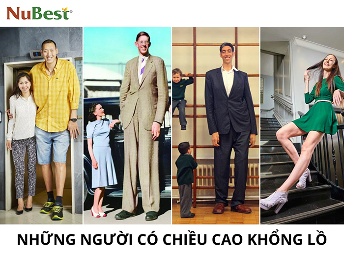 Các cá nhân đạt chiều cao vượt giới hạn thông thường