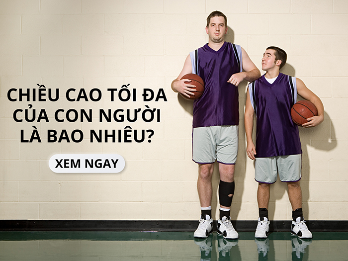 Con người có thể đạt chiều cao tối đa là bao nhiêu?