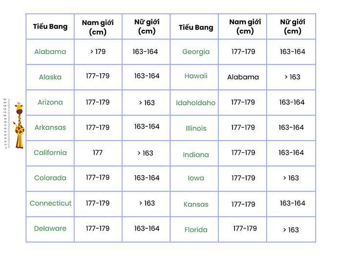 Bảng thống kê chiều cao trung bình của các tiểu bang ở Mỹ cập nhật 2025