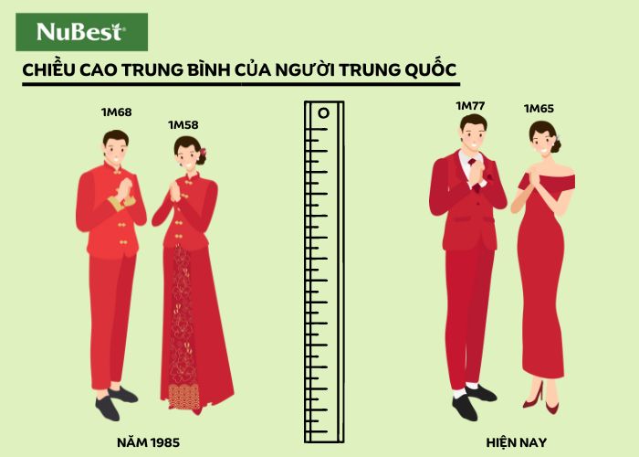 Sự chênh lệch chiều cao của nam nữ thanh niên Trung Quốc sau 38 năm 