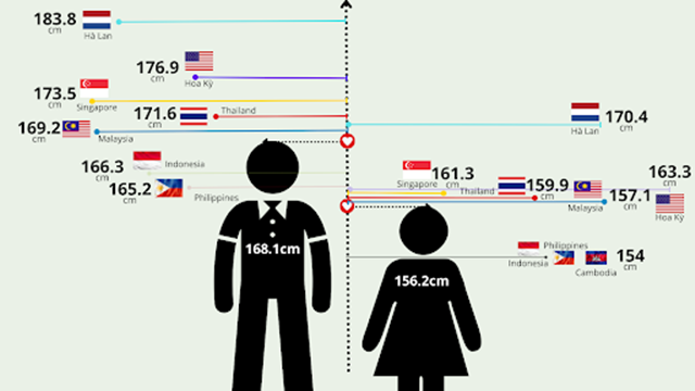 Chiều cao trung bình của nam và nữ trên thế giới so với Việt Nam