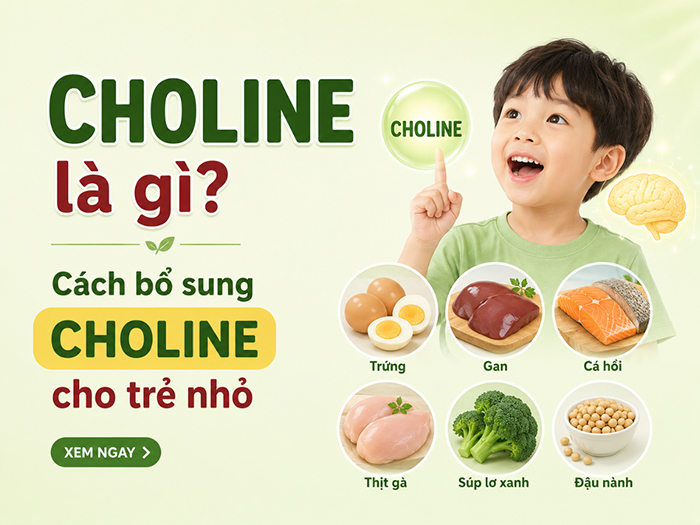 Choline là một hợp chất thiết yếu cho nhiều hoạt động của cơ thể.