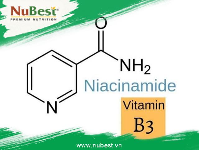 Dẫn xuất từ vitamin B3 chống lại các tác nhân gây ra lão hoá trên da, nâng khối cơ, làm trắng sáng da tự nhiên.