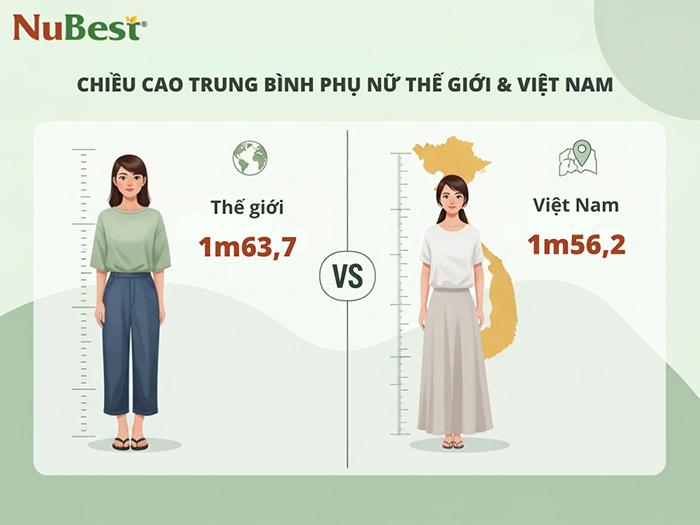 Chiều cao trung bình của phụ nữ thế giới và Việt Nam.