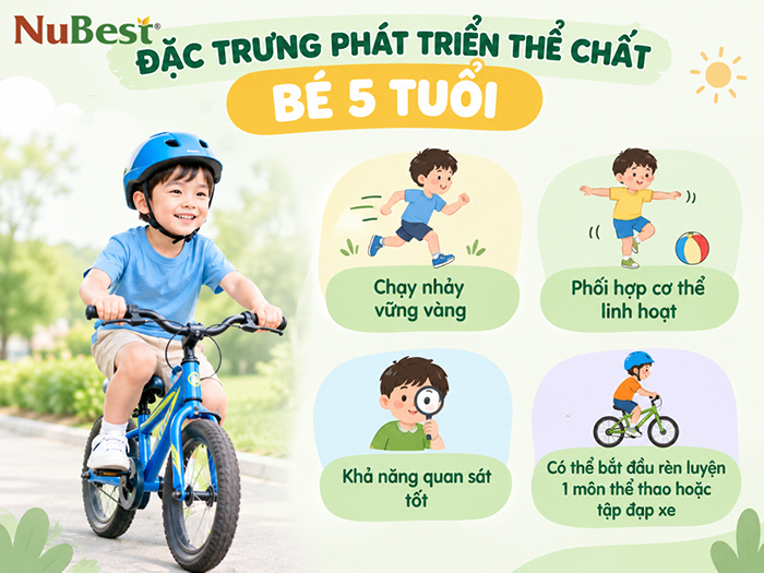 Đặc trưng phát triển thể chất của bé 5 tuổi.
