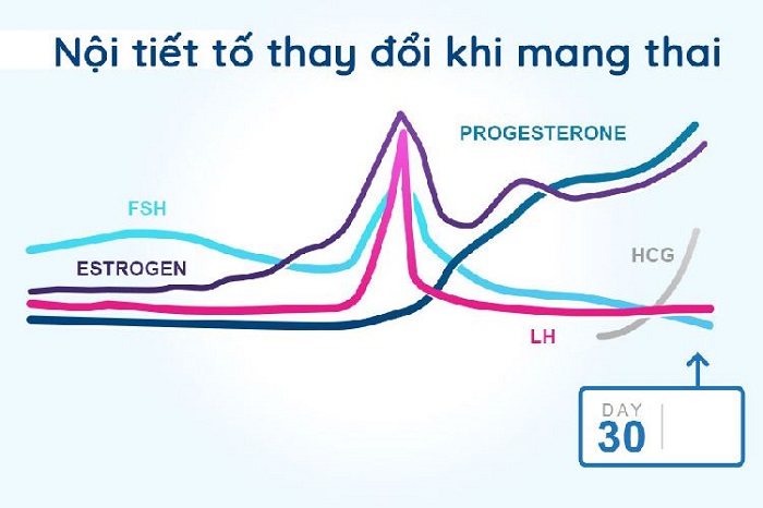 Sự thay đổi của các hormone trong cơ thể khiến phụ nữ mang thai nhạy cảm hơn với mùi và vị