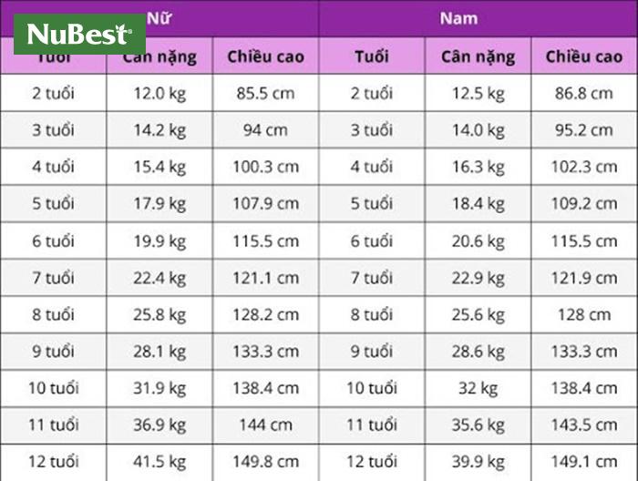 Bảng chiều cao cân nặng chuẩn của trẻ từ 2 - 12 tuổi