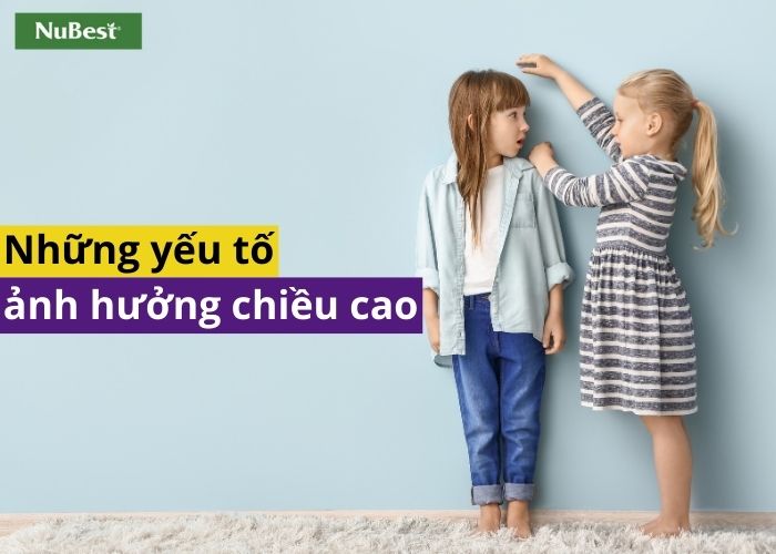 Những yếu tố chính ảnh hưởng đến chiều cao