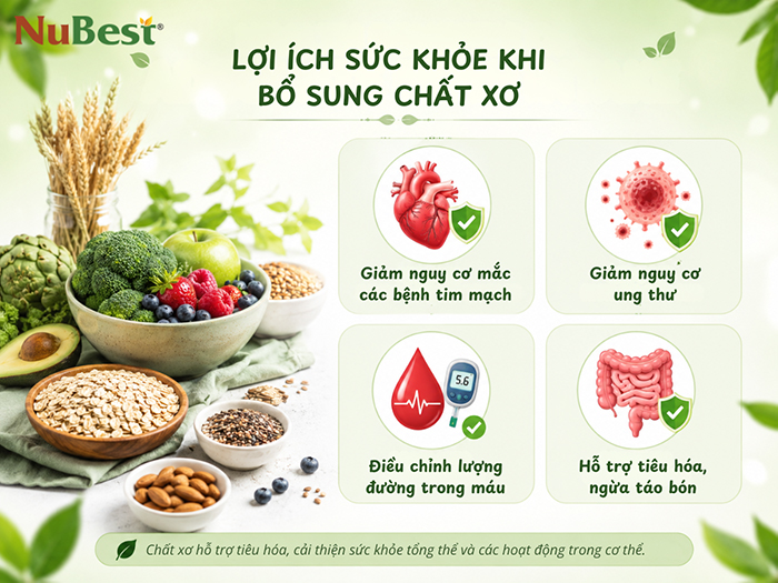 Lợi ích sức khỏe khi bổ sung chất xơ đầy đủ