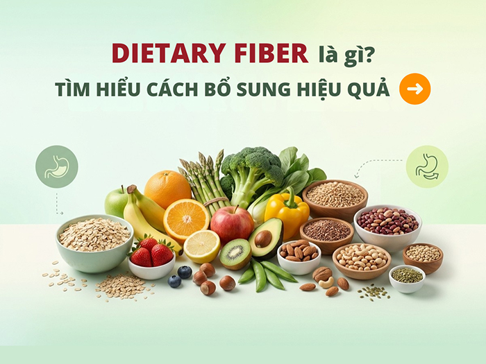 Tìm hiểu về Dietary fiber.