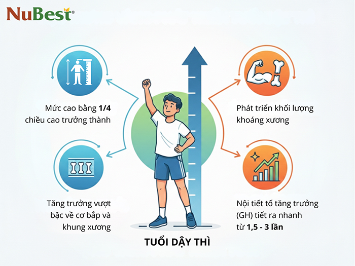 Một số đặc trưng phát triển của trẻ ở tuổi dậy thì