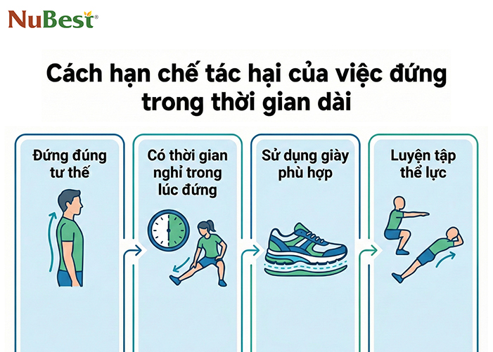 Mẹo bảo vệ sức khỏe khi phải đứng quá lâu