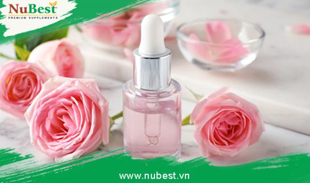 Nước hoa hồng rất nổi bật với khả năng dưỡng ẩm cho da