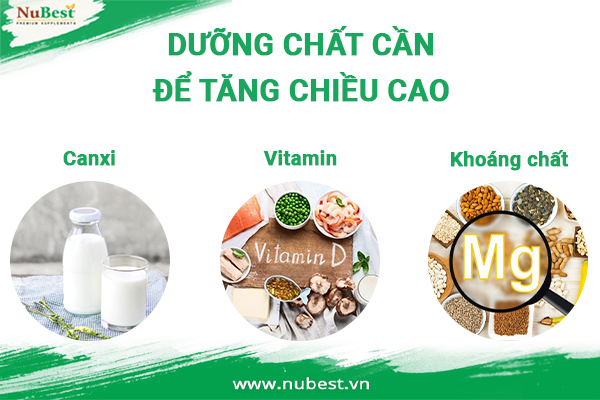 dưỡng chất giúp tăng chiều cao