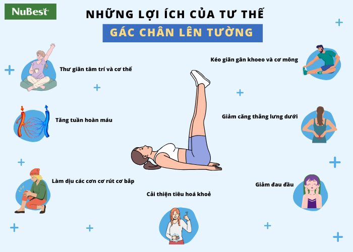 Gác chân lên tường mang đến cho người tập những lợi ích bất ngờ về sức và tinh thần&nbsp;
