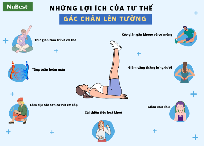 Gác chân lên tường mang đến cho người tập những lợi ích bất ngờ về sức và tinh thần 