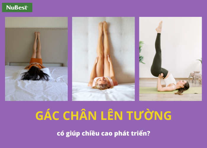 Tư thế gác chân lên tường trong bài tập Yoga&nbsp;