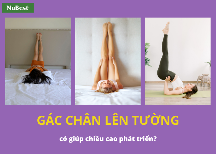 Tư thế gác chân lên tường trong bài tập Yoga 