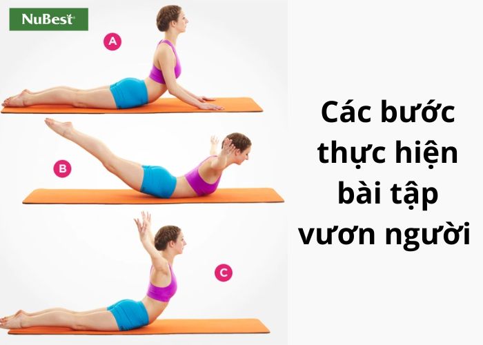 Các thực hiện bài tập vươn người giãn cơ