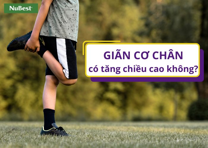 Giãn cơ chân có tác dụng hỗ trợ cải thiện vóc dáng