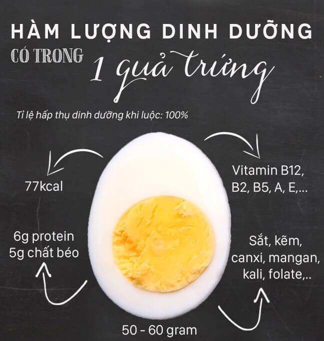 hàm lượng dinh dưỡng của trứng