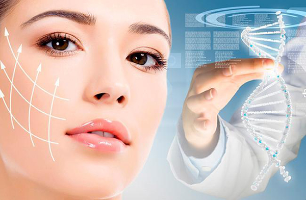 Collagen chiếm tới 70% cấu trúc da, phân bố chủ yếu ở lớp hạ bì