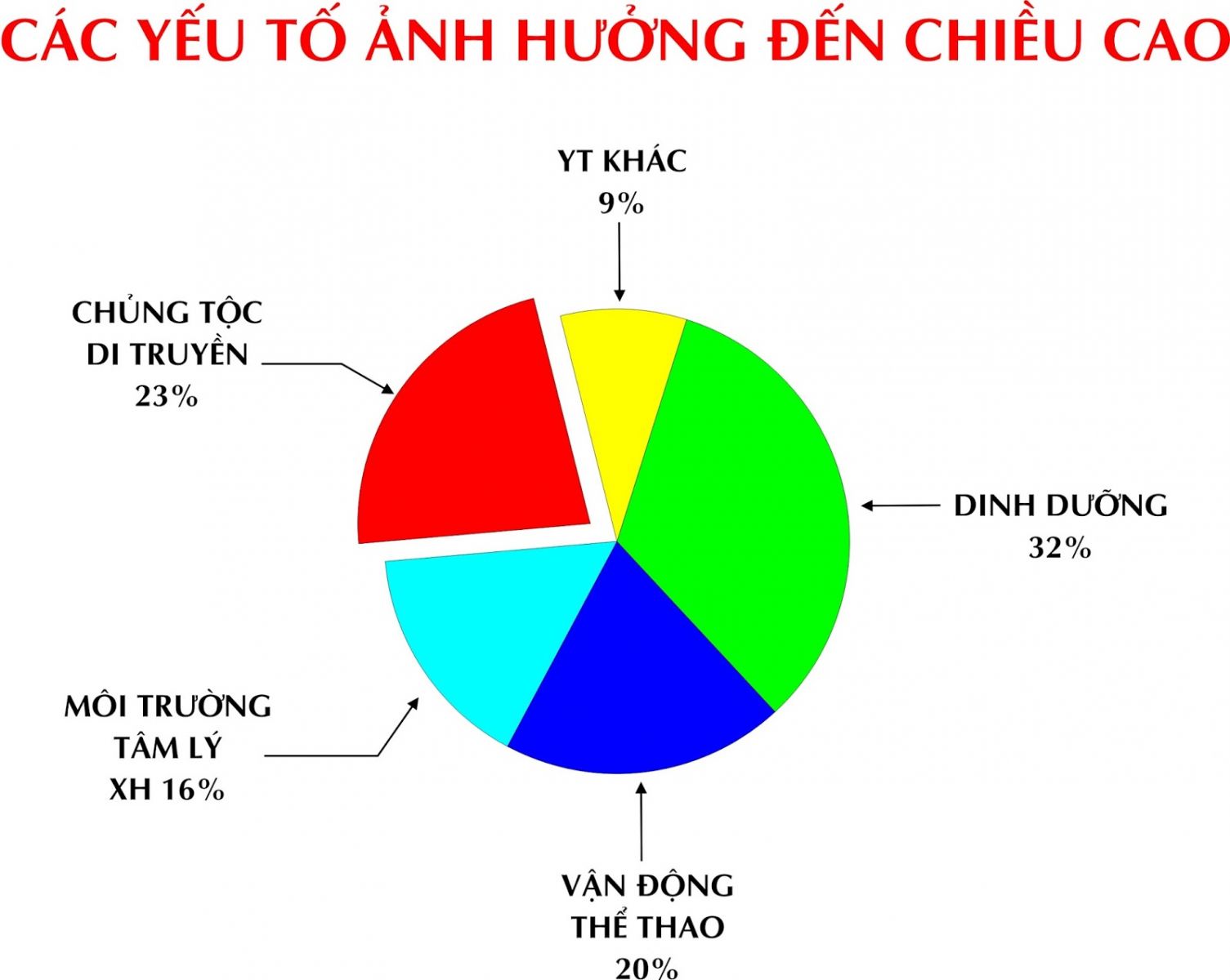 Yếu tố duy truyền chỉ chiếm 23% ảnh hưởng đến chiều cao