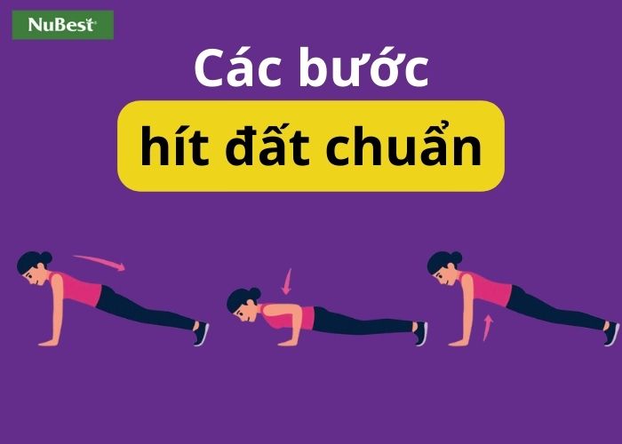 Hướng dẫn các bước hít đất chuẩn, an toàn và hiệu quả