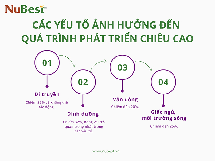 Những yếu tố ảnh hưởng đến quá trình phát triển chiều cao của trẻ