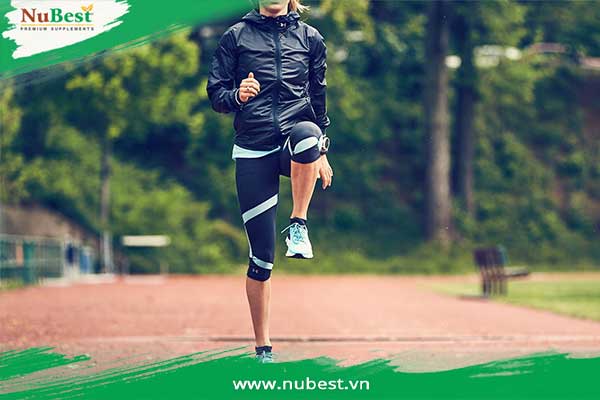 khởi động trước khi chạy bộ