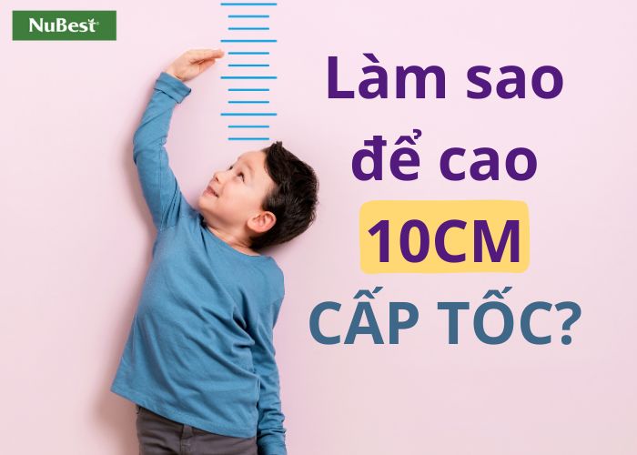 Muốn cao thêm 10cm trong thời gian ngắn cần phải ở độ tuổi 0 - 19