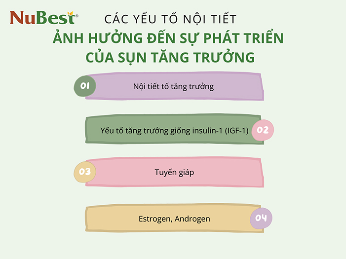 Các yếu tố nội tiết tố ảnh hưởng đến sự phát triển của sụn tăng trưởng