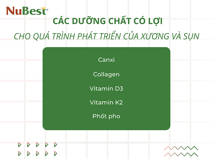 Các dưỡng chất có lợi cho quá trình phát triển của xương và sụn