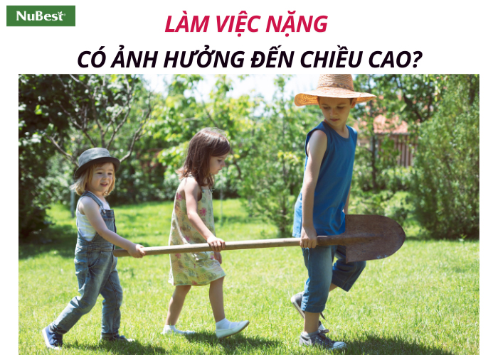 Làm việc nặng, bưng vác đồ vượt quá khả năng có khiến chiều cao bị cắt giảm?