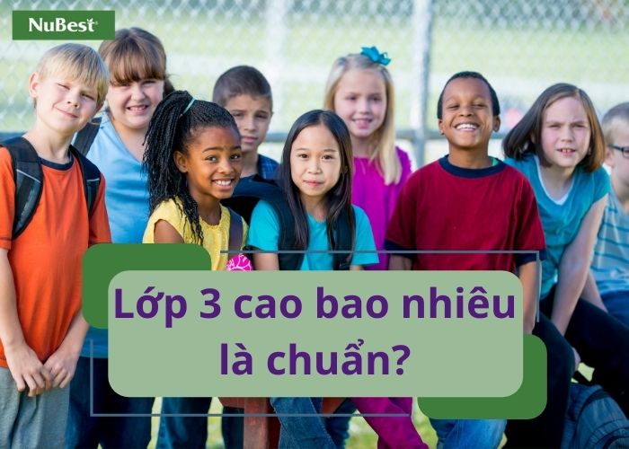 Học lớp 3, chiều cao chuẩn của trẻ từ 126,6 - 138,1cm