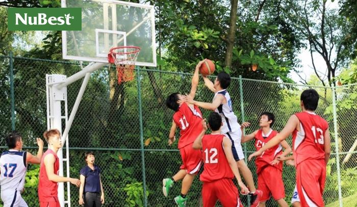 Bóng rổ là môn thể thao rất tốt cho chiều cao