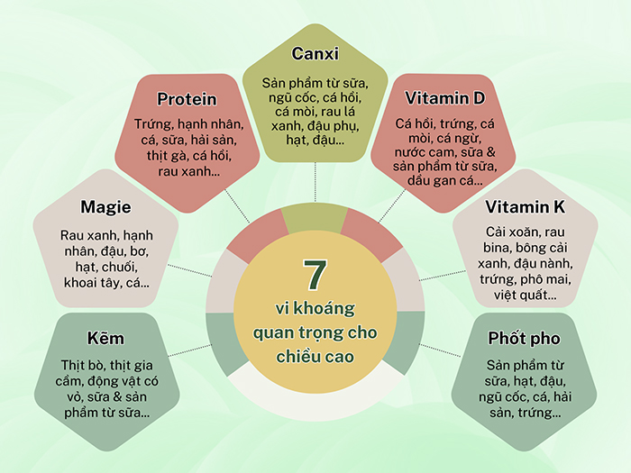 Các loại vi khoáng tham gia trực tiếp vào quá trình tăng chiều cao