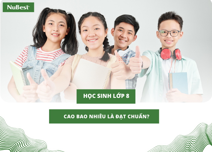 Tại Việt Nam, trẻ em học lớp 8 sẽ có độ tuổi tiêu chuẩn chung là 13 tuổi