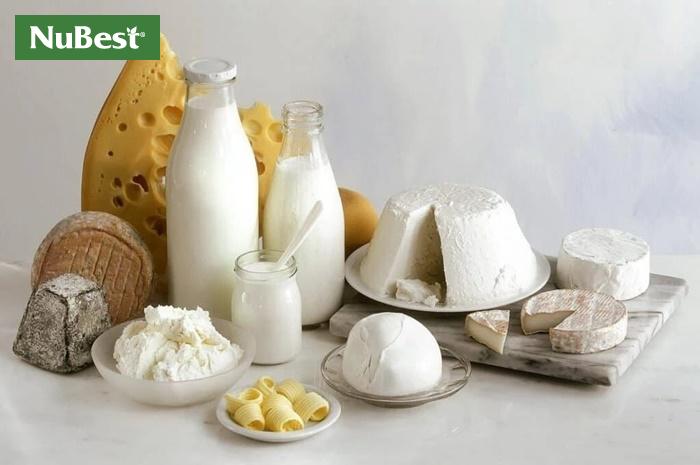 Sữa và các sản phẩm từ sữa có chứa nhiều canxi